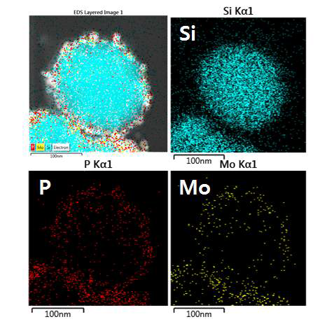 MoP coated Si의 TEM mapping