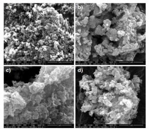 Nano-composite (a) bare sample, (b) 0.8 wt% sample, (c), (d) 0.4 wt% sample 의 SEM image