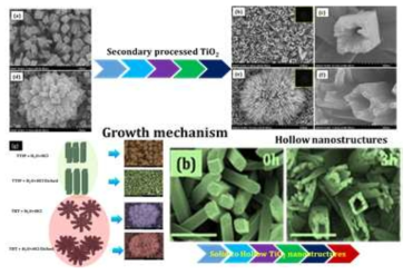 Surface topography and growth mechanism (a) FESEM image of the TiO2 nanorods obtained at by hydrothermal process at 180°C. (b) & (c) FESEM images of etched TiO2 nanorods at different magnifications (d) FESEM images of TiO2 nanoflowers synthesized at 180°C. (e) & (f) FESEM images of etched TiO2 nanoflowers at different magnifications. Insets show SAED patterns of respective samples. (g) The respective schematic diagrams represent the growth processes of opened TiO2 nanorods and nanoflowers