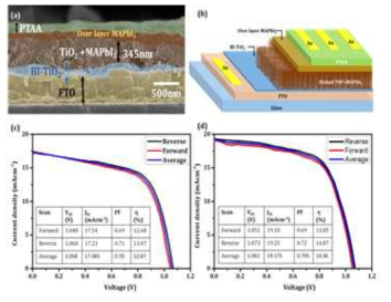 Cross sections and current density–voltage of champion perovskite solar cells based on TiO2 nano-rods and nanoflowers using PTAA HTM. (a) cross sectional SEM image of champion PSCs based on etched TiO2 nanoflowers and PTAA HTM (b) Schematic representation of device configuration. (c) Current density–voltage of champion perovskite solar cells based on etched TiO2 nanorods and (d) etched nanoflowers. Device configuration FTO/Bl-TiO2/ TiO2 (NS)*+MAPbI3/PTAA/Au. The J-V characteristics measured under in forward and reverse scan mode. Inset tables show respective solar cells parameters