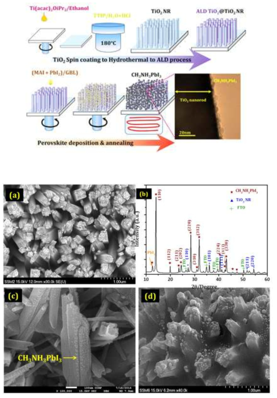 Schematic representation of the process involved in the synthesis of perovskite solar cells. A single-step hydrothermal process followed by atomic layer deposition (ALD) passivation afforded the passivated 1D TiO2 NRs. For the deposition of MAPbI3. FESEM micrograph of as-deposited TiO2 nanorods. GIXRD pattern of MAPbI3 deposited on TiO2 nanorods. (c) MAPbI3 deposited on TiO2 nanorods. (d) spiro-MeOTAD deposition onto MAPbI3/TiO2 nanorods