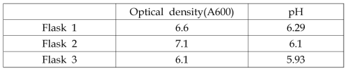최소배지를 이용한 플라스크 배양결과
