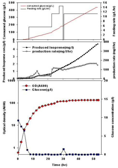 탄소원으로서 포도당, pH 제어제로서 NaOH를 이용한 이소프렌 5L 배양 결과