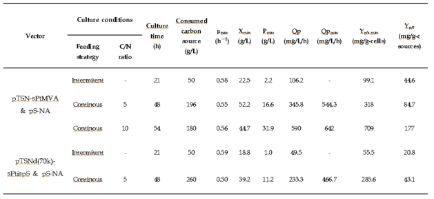 pTSN-sPtMVA와 pS-NA가 도입된 균주와 pTSNd(70k)-sPtispS와 pS-NA가 동시에 도입된 균주의 유가식 배양공정결과