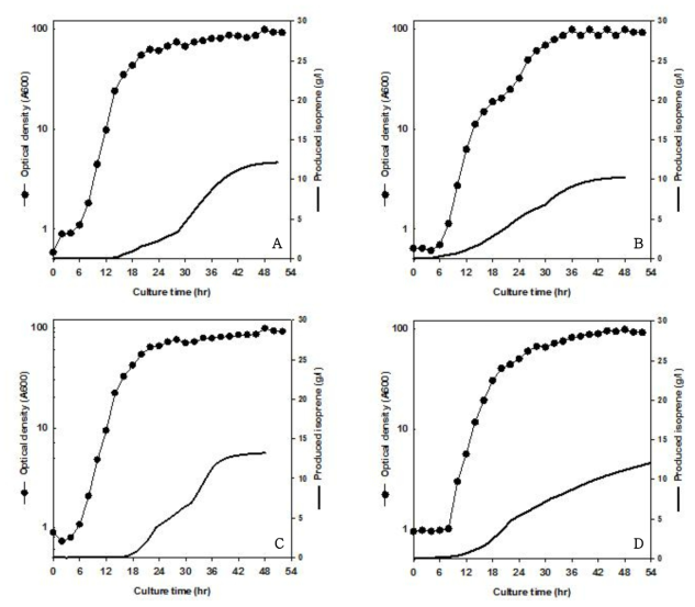 pTSNk-sPtMVA가 도입된 균주를 이용한 유가식 배양결과. Symbols: A, crude 글리세롤을 이용한 이소프렌 생산; B, 초기 효모추출물 10g/L을 이용한 이소프렌 생산; C, 정교한 pH 조절을 이용한 이소프렌 생산; D, crude글리세롤의 간헐적 공급에 의한 이소프렌 생산