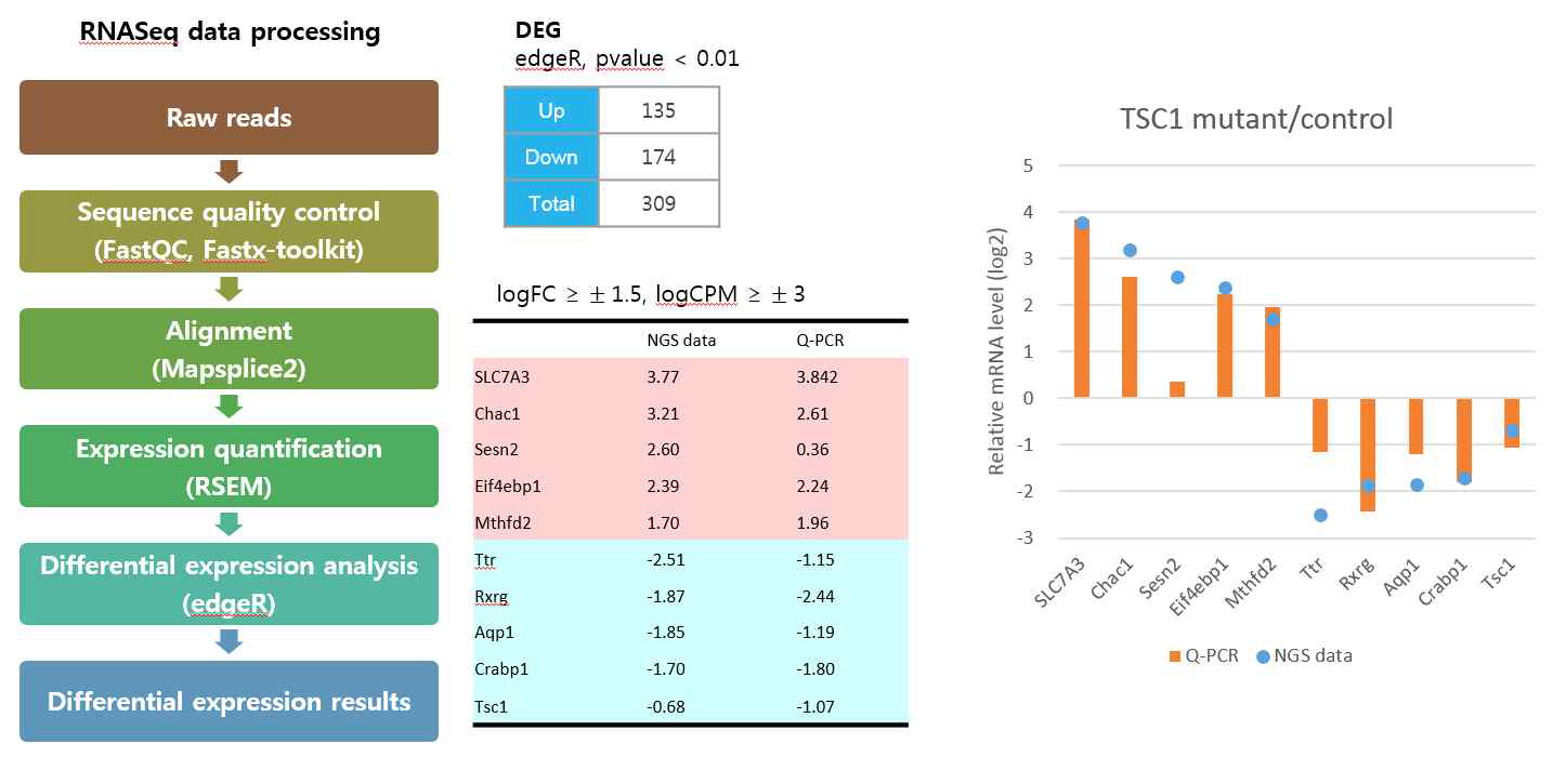 RNA-seq 분석과 Quantitative RTPCR 결과