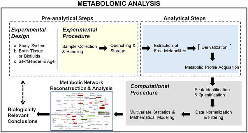 메타볼로믹스 기반 뇌대사체 분석모식도