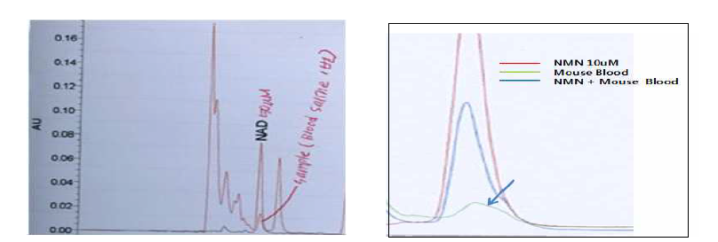 NAD, NMN peak in mouse blood during HPLC