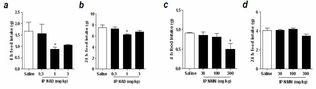 복강 내 NAD 투여가 식이섭취와 체중에 미치는 영향