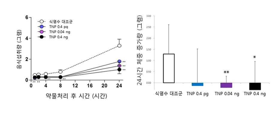 TNP를 마우스 뇌실에 투여하였을 때 나타나는 식욕억제 효능