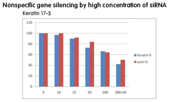 siRNA 농도가 높아질수록, 비특이적 유전자의 발현양 감소 현상 확인