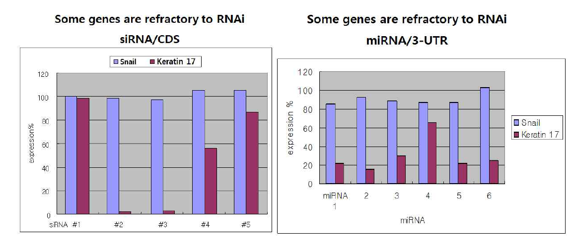 RNAi system을 통하여 유전자 제어가 힘든 유전자(example. Snail)가 존재함을 확인. CDS(Coding DNA Sequence)또는 3’-UTR(3’-Untranslated region)에서 각각 small RNA를 제작하여 gene silencing을 확인하였으나, 대조군인 Keratin과는 달리 Snail의 경우, 유전자 제어가 되지 않음을 확인