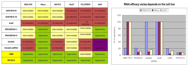 Cell line에 따른 RNAi efficacy변화