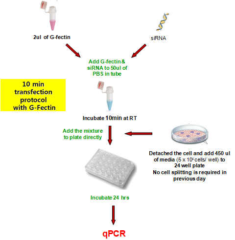 G-Fectin protocol