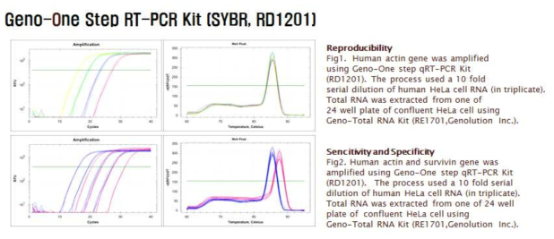 Geno-One stpe RT-PCR Kit의 민감도와 특이도 그리고 재현성 결과