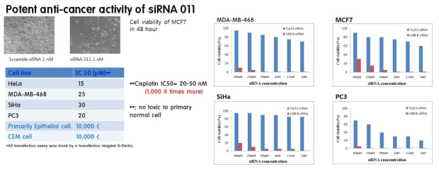 다양한 종류의 cell line에서 siRNA011 silencing에 의한 viability를 측정