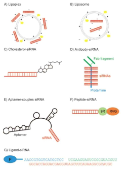 siRNA의 비바이러스성 전달 기술(Angew. Chemie. Int. Ed. 2009)