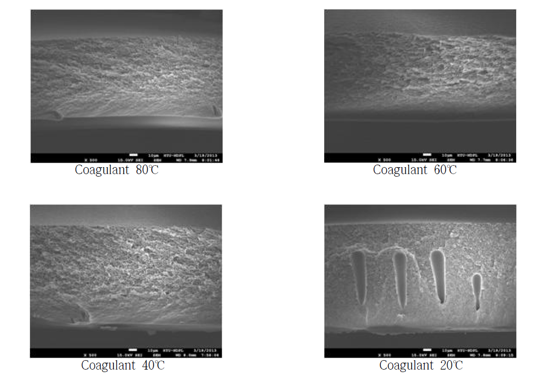 Coagulant의 온도에 따른 고분자막의 morphology의 변화