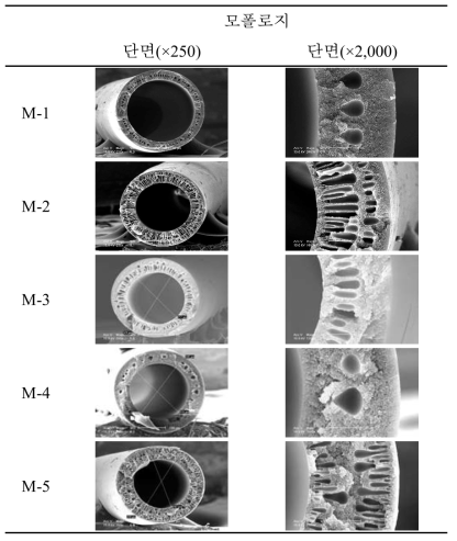 도프용액 조성에 따른 중공사막의 SEM 단면 사진