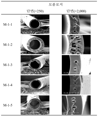 열처리 조건에 따른 중공사막의 SEM 단면 사진
