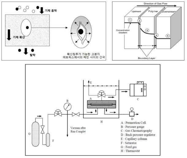 고분자 분리막에서의 기체 확산 메커니즘 (위) 고분자 분리막의 혼합기체 투과 실험 장치 도식 (아래)