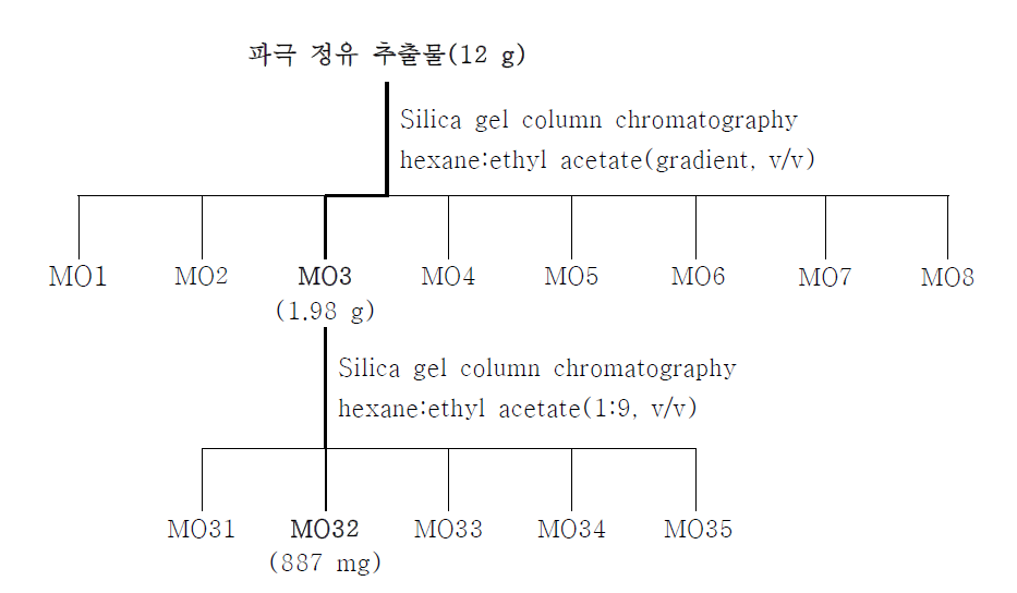 Silica gel column chromatography에 의한 활성물질 분리·정제 과정