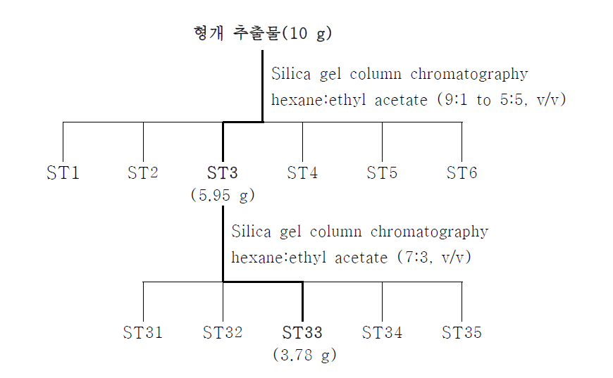 Silica gel column chromatography에 의한 활성물질 분리·정제 과정