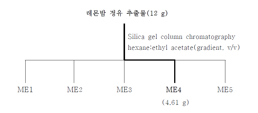 Silica gel column chromatography에 의한 활성물질 분리·정제 과정