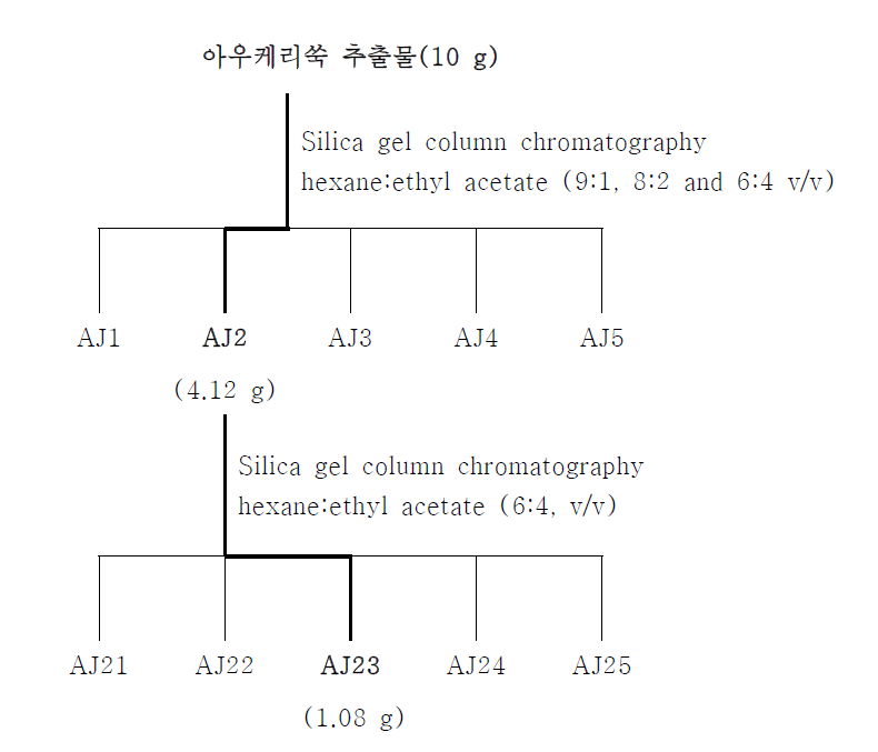 Silica gel column chromatography에 의한 활성물질 분리·정제 과정