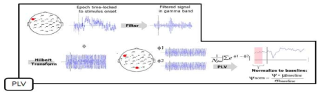 뇌 신호 분석을 위한 phase locking value 알고리즘
