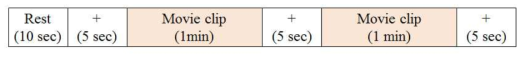 동영상 자극에 대한 감정 유발 실험 설계