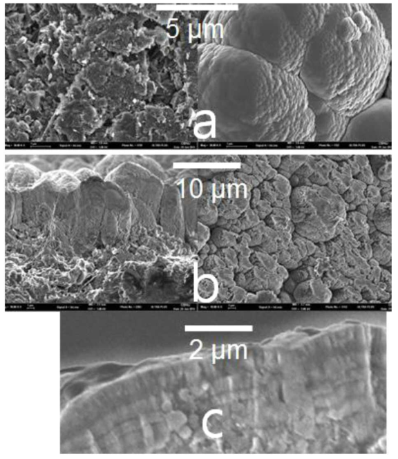 As-received rough surface becomes after SiC coating (a), the coating morphologies at the beginning of the film deposition exhibit a columnar growth (b), and multiply stacked columnar growth of the film may be attributed to the frequent sample position change (c)