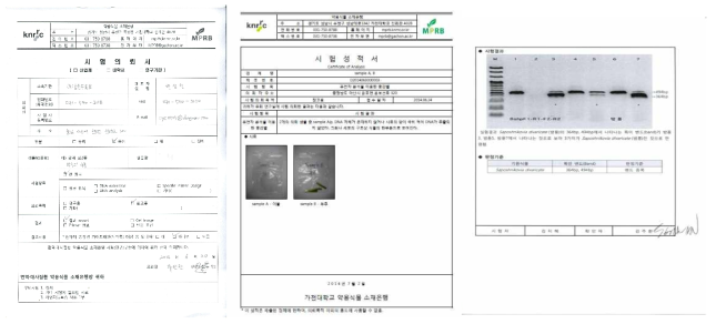 종 동정 시험의뢰서 및 시험성적서