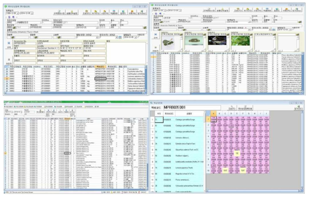 MS-Access 기반 약용식물 DB 프로그램