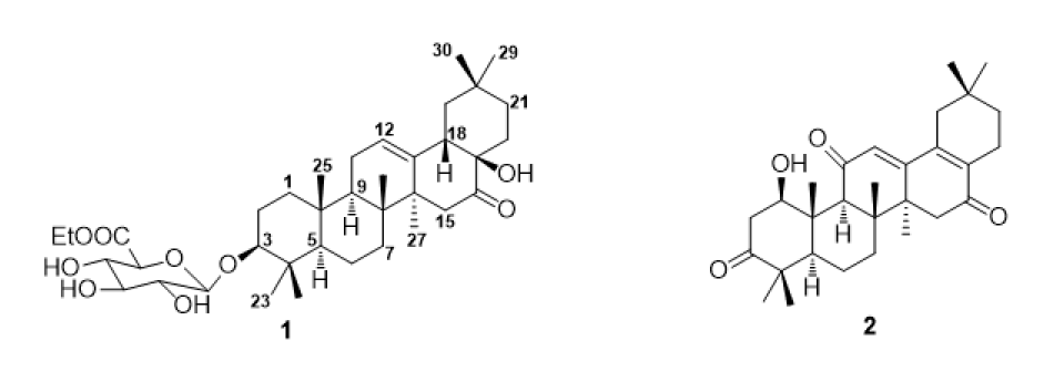 동백나무로부터 분리된 신규 올레아난 유도체 화합물 1 - 2의 화학적 구조