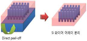 폴리머 담지를 통한 Si 와이어 어레이 Peel-off