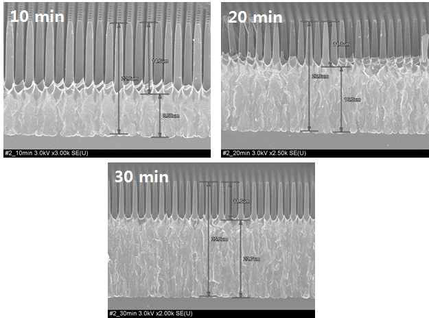 Si 와이어 어레이 하단 porous layer 형성 SEM 이미지