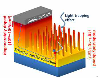 Self-aligned selective emitter가 적용된 와이어 태양전지 모식도