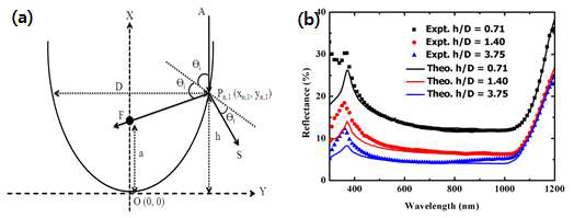 Parabolic shape 내 (a)ray tracing 및 (b)시뮬레이션 결과