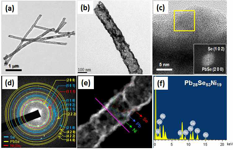 Hollow PbSe nanofiber의 TEM analysis