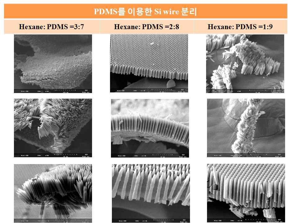 PDMS 및 Hexane 비율에 따라 분리된 Si 와이어 어레이