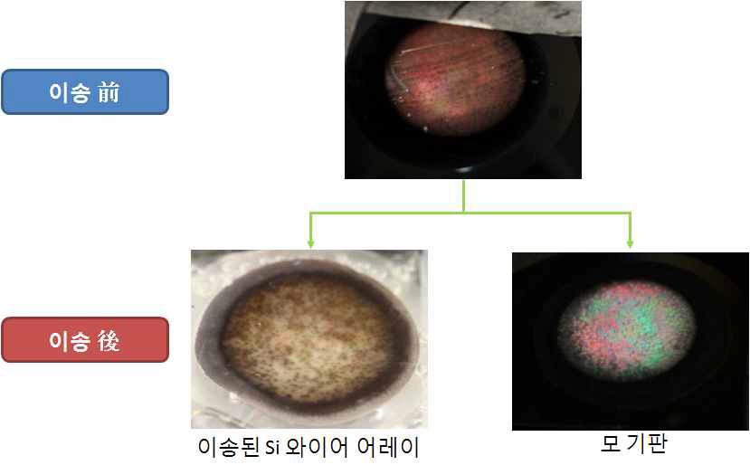 Direct peel-off를 이용한 Si 와이어 어레이 분리 이미지