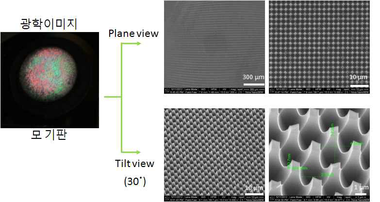 Si 와이어 어레이 분리 후 관찰한 모기판의 광학 및 SEM이미지