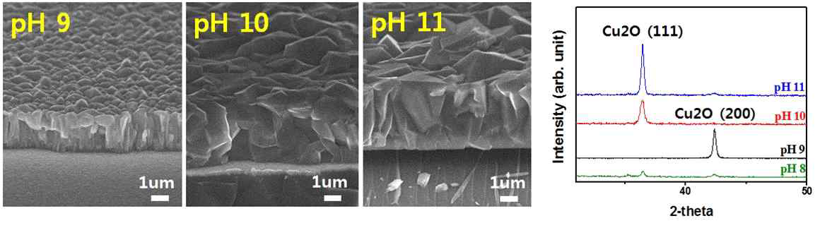 pH에 따른 Cu2O 구조적 특성