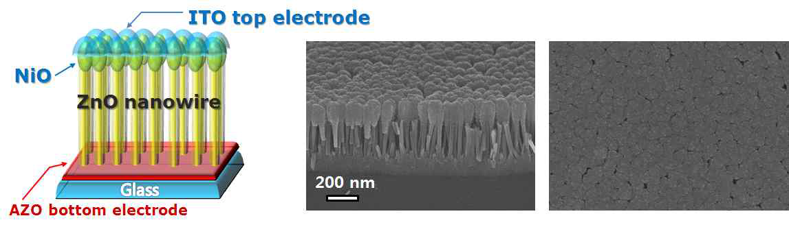 ITO/p-NiO/n-ZnO 나노와이어/AZO/Glass 구조의 UV 광센서 모식도 및 실제 소자의 SEM 관찰 사진