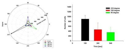 chemical attractants의 위치제어에 따른 박테리아의 분포분석