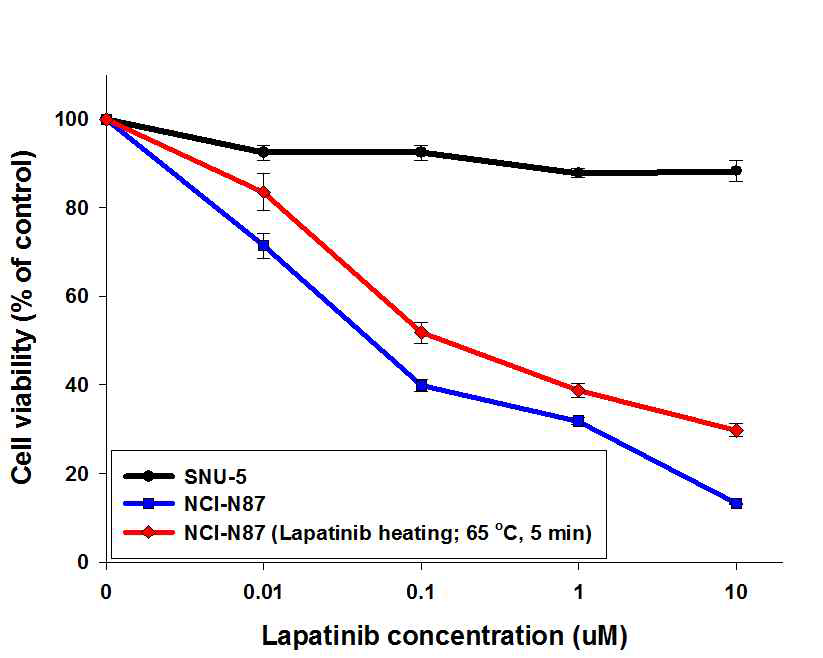 적층 및 x-ray synchrotron 노광 공정 과정 중, lapatinib의 activity에 영향을 미칠 수 있는 가능성 검증