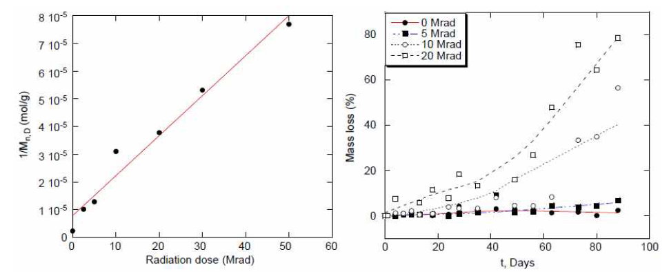 X-ray synchrotron 노광 된 생분해성 고분자의 특성 변화 (Mw, degradation) 그래프