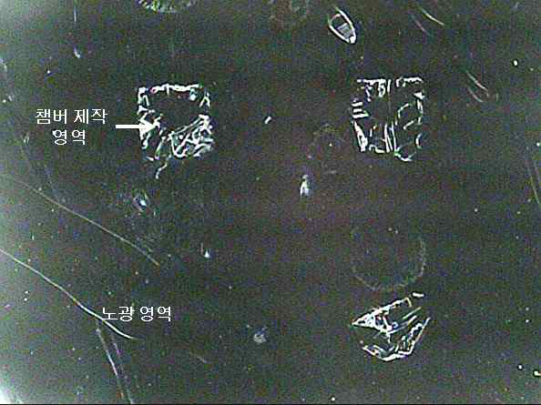 PVP 폴리머로 제작된 마이크로 구조체의 광학현미경 사진