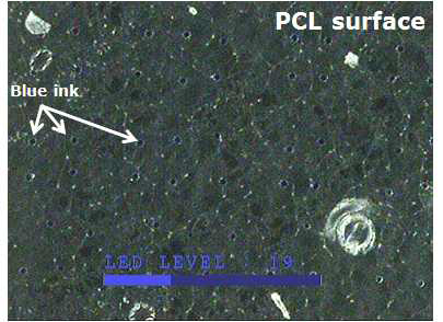 약물대체물질로 blue ink가 장전된 PCL 폴리머 필름의 2층 적층